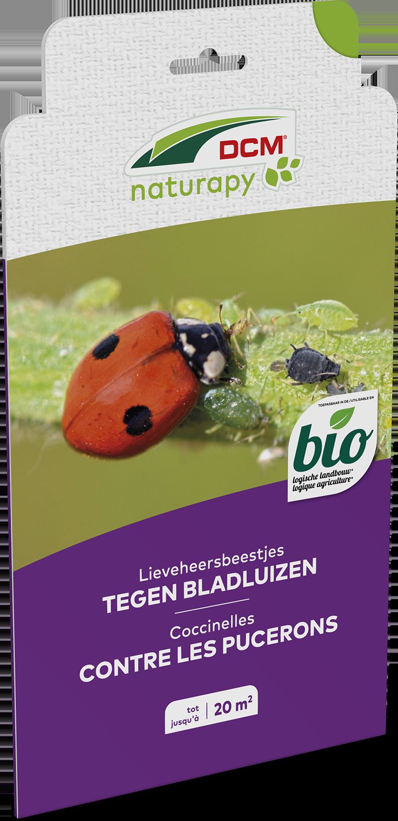 5413448123852-coccinelles-contre-les-pucerons-au-jardin-dornement-et-au-potager-100-larves