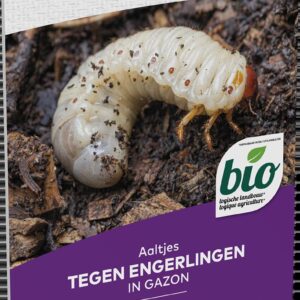 5413448123944-nematodes-contre-les-vers-blancs-dans-les-gazons-50-mio-nematodes