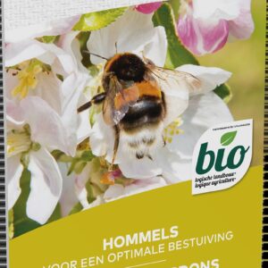 5413448124071-ruche-de-bourdons-pour-une-fructification-optimale-1-piece