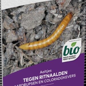 5413448150292-nematodes-contre-les-larves-de-taupin-vers-fil-de-fer-vers-gris-chenilles-et-doryphores-25-mio-nematodes