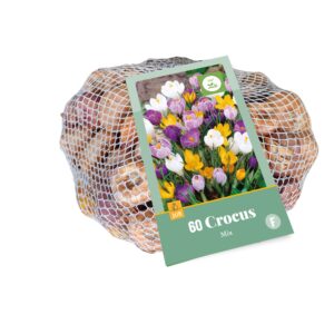 8712438541209-x--60-crocus-mix-78