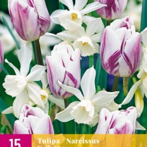 8712438541988-x-15-tulipes--narcisses-folk-story-i