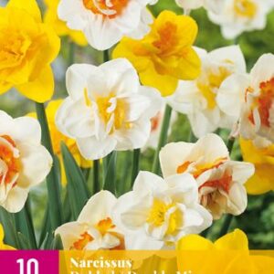 8712438542602-x-10-narcisses-double-mix-1214