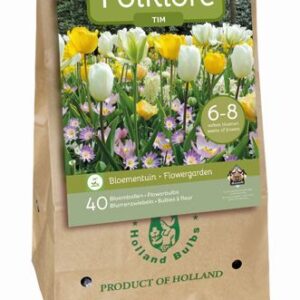 8712438758386-x-1-sac-folklore-tim-i