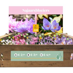 8712438982774-box-4--fleurs-dautomne-i