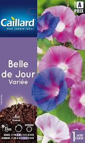 3539829802412-belle-de-jour-variee