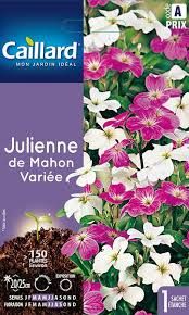 3539829802788-julienne-de-mahon-variee
