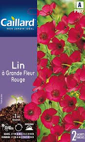 3539829802825-lin-a-grande-fleur-rouge
