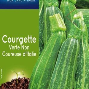 3539829804713-courgette-verte-ditalie-nc
