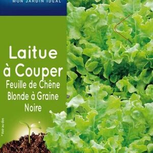 3539829805277-laitue-a-couper-feuille-chene-blande-gn