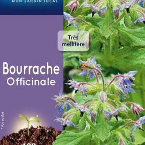 3539829811353-bourrache-officinale