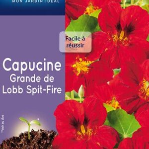 3539829811308-capucine-grande-de-lobb-spit-fire