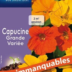 3539829802450-capucine-grande-variee