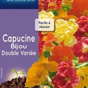 3539829802498-capucine-bijou-double-variee