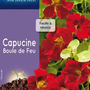 3539829802504-capucine-boule-de-feu