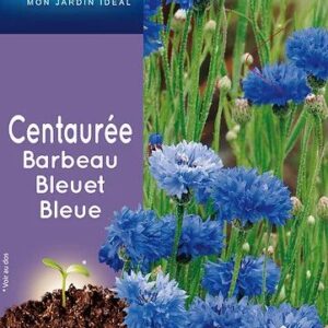 3539829802511-centauree-barbeau-bleuet-bleue