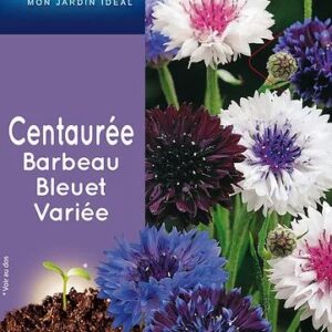 3539829802528-centauree-barbeau-bleuet-variee