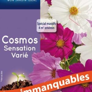 3539829802580-cosmos-sensation-varie