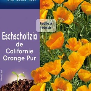 3539829811384-eschscholtzia-de-californie-orange-pur