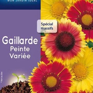 3539829802672-gaillarde-peinte-variee