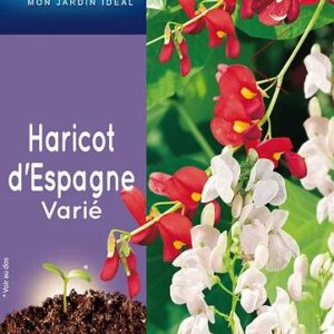 3539829802733-haricot-despagne-varie