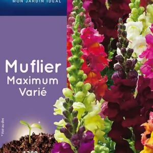 3539829802887-muflier-maximum-grand-varie