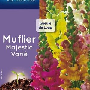 3539829802870-muflier-majestic-varie