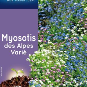 3539829802917-myosotis-des-alpes-varie