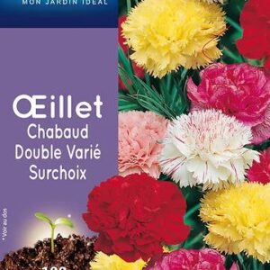 3539829802931-oeillet-chabaud-double-varie-surchoix