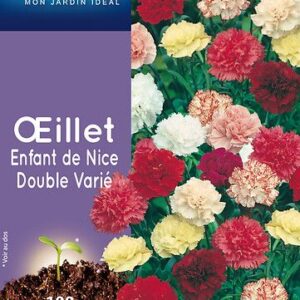 3539829802948-oeillet-enfant-de-nice-double-varie