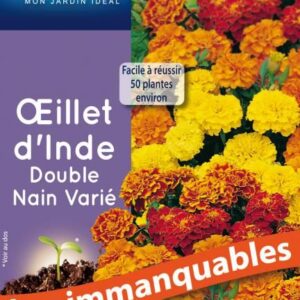 3539829803044-oeillet-dinde-double-nain-varie