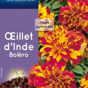 3539829811377-oeillet-dinde-bolero
