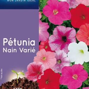 3539829803150-petunia-nain-varie