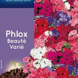 3539829803167-phlox-beaute-varie