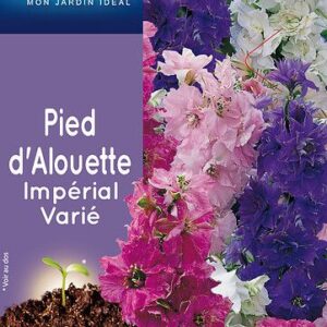 3539829803174-pied-dalouette-imperial-varie