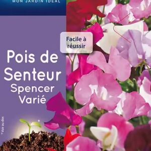 3539829803198-pois-de-senteur-spencer-varie