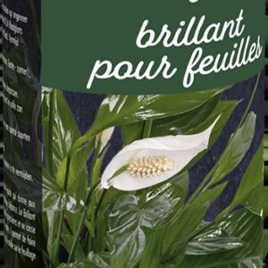 5413448041507-brillant-pour-feuilles-dcm-04-l