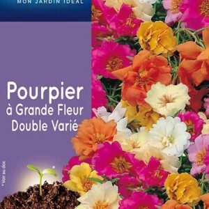 3539829803235-pourpier-a-grande-fleur-double-varie