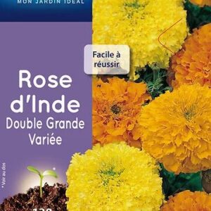 3539829803327-rose-dinde-double-grande-variee