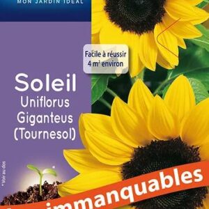3539829803389-tournesol-uniflorus-giganteus