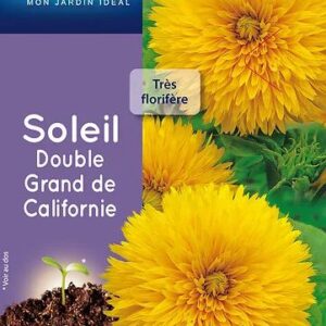3539829811407-soleil-double-grand-de-californie