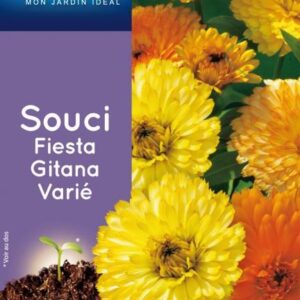 3539829812008-souci-fiesta-gitana-varie