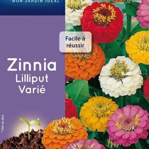 3539829803495-zinnia-lilliput-varie