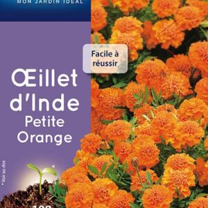 3539829803068-oeillet-dinde-petite-orange