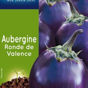 3539829811803-aubergine-ronde-de-valence