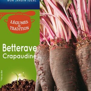 3539829803853-betterave-crapaudine-trad