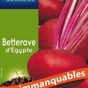 3539829803839-betterave-degypte