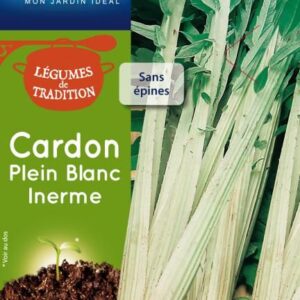 3539829803860-cardon-plein-blanc-inerme-trad
