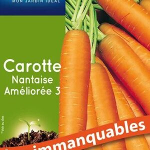 3539829803938-carotte-nantaise-amelioree-3