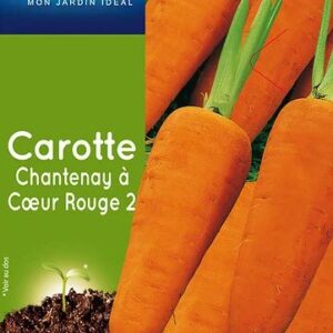 3539829803945-carotte-de-chantenay-a-coeur-rouge-2
